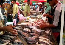 Fish and meat sale banned in pune