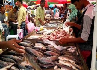 Fish and meat sale banned in pune