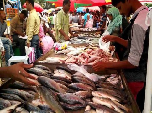 Fish and meat sale banned in pune