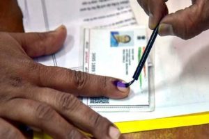 Voting Crossed 32 percentage In Thrikkakkara By Election