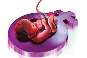 Female Foeticide Group Were Arrested In Odisha