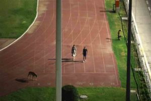 Relocation of IAS couple who vacated the stadium to walk the dog
