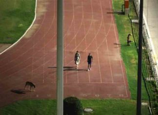 Relocation of IAS couple who vacated the stadium to walk the dog