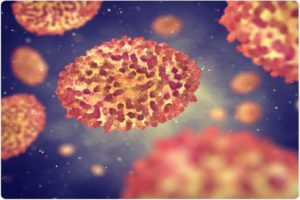 No Monkey Pox Reported In Oman Yet Said Health Department