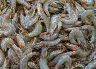 Kallachi Fish Market Closed Due To The Death Of Woman After Eating Prawns Curry