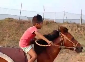 കുതിര സവാരിയിൽ ഞെട്ടിച്ച് നാല് വയസുകാരൻ