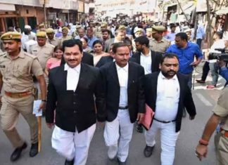 advocate-commisioner