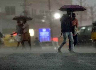 മലമ്പുഴയിൽ ഉരുൾപൊട്ടിയതായി സംശയം; കല്ലമ്പുഴയിൽ ജലനിരപ്പ് ഉയർന്നു heavy-rain- alert