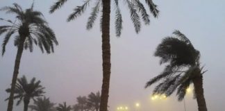 Heavy Wind Will Continue In Qatar In This Week