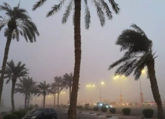 ശക്തമായ കാറ്റ് തുടരും; ഖത്തറിൽ തൊഴിലാളികൾക്ക് സുരക്ഷാ മുന്നറിയിപ്പ് Heavy Wind Will Continue In Qatar In This Week