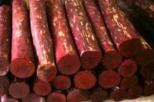 100 Kilo Sandalwood Seized From Kochi