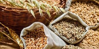 രാജ്യത്തെ ഗോതമ്പ് കയറ്റുമതി താൽക്കാലികമായി നിരോധിച്ച് കേന്ദ്രം Central Govt Prohibits The Wheat Export From India