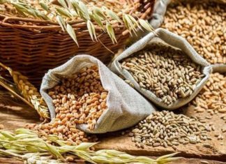 Central Govt Prohibits The Wheat Export From India