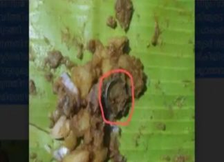 തട്ടുകടയിൽ നിന്ന് വാങ്ങിയ കപ്പ ബിരിയാണിയിൽ വെള്ളിമോതിരം; കടയടപ്പിച്ചു food poisonning