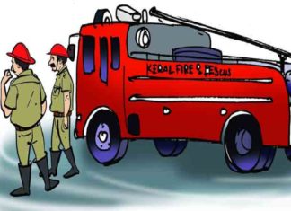 വാഗമണ്ണിലേക്ക് പോയ ടൂറിസ്റ്റ് ബസ് മറിഞ്ഞു; മുപ്പതോളം വിദ്യാർഥികൾക്ക് പരിക്ക് Tourist bus to Vagamon overturns; Thirty students were injured