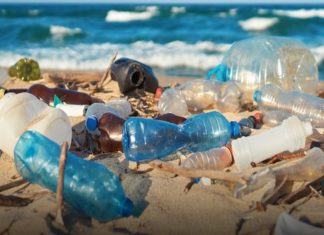 പരിസ്ഥിതി നിയമലംഘനം; കർശന നടപടി സ്വീകരിക്കുമെന്ന് ഖത്തർ Strict Actions Will Take Against Environment Law Violation In Qatar