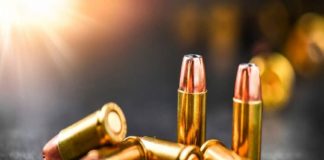 Gun Bullet Found From The Private Persons Yard In Kozhikode