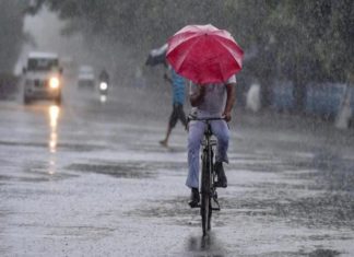 Heavy Rain In Kerala And Yellow Alert in 4 Districts