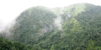 เดตเดพเดเตเดเตผเดเตเดเดพเดฏเดฟ เดคเดฟเดฐเดเตเดเดฟเตฝ เดเตผเดเดฟเดคเด; เดจเดฟเดฐเตเดเตเดทเดฃเดคเตเดคเดฟเดจเต 20 เดเตเดฏเดพเดฎเดฑเดเตพเดเตเดเดฟ