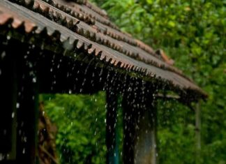 Summer rain in kerala