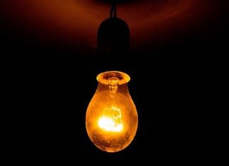 bulb worlds longest lasting light