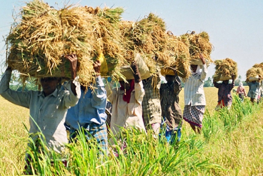 agriculture-min heat Palakkad farmers in crisis, huge losses in agriculture