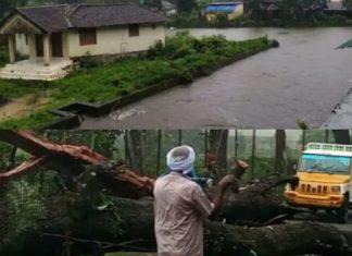 നെല്ലിയാമ്പതിയിൽ കനത്ത മഴ; ശക്തമായ കാറ്റിൽ മരങ്ങൾ കടപുഴകി nelliyampathy-road