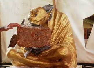 gandhi-statu-eattacked