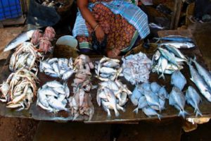 Fish Sale In Public Places Ban In Lakshadweep