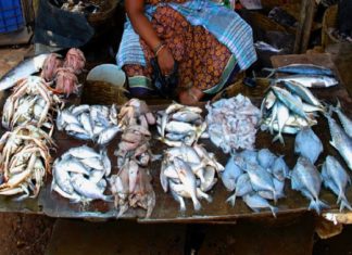 Fish Sale In Public Places Ban In Lakshadweep