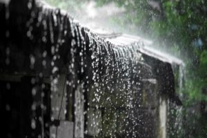 rain