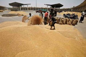 UAE suspends Indian wheat exports for four months