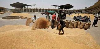 UAE suspends Indian wheat exports for four months