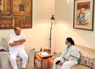 Mamata Banerjee Meets Sharad Pawar Ahead Of Big Meet On Presidential Poll