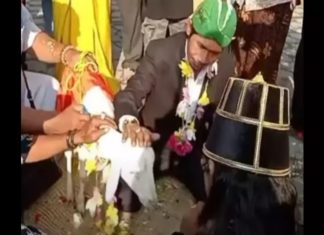 വൈറലാകാൻ വിവാഹം, വധുവായി ‘പെണ്ണാട്’; യുവാവിനെതിരെ രോഷം man marries female goat for get viral on social media