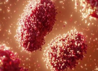 കുരങ്ങുപനി വ്യാപകമാകുന്നു; യുഎഇയിൽ ക്വാറന്റെയ്ൻ നിർദ്ദേശങ്ങൾ കടുപ്പിച്ചു Quarantine Rules Stricted In UAE Due To The Monkey Pox