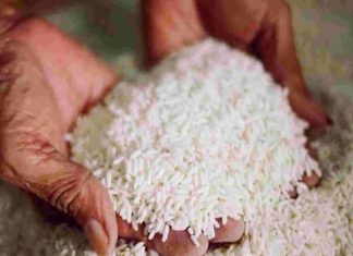 Worm Found In The Rice At The School In Thiruvananathapuram