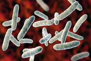 Two Persons Have Shigella In Palakkad