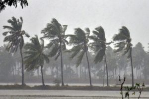 Heavy Rain Should Be In Kerala In The Next 5 Days And Yellow Alert In 5 Districts