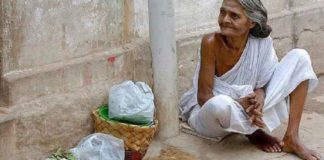 102ആം വയസിലും പച്ചക്കറി വിൽപന; ജീവിതത്തോട് പൊരുതി ലക്ഷ്മിയമ്മ