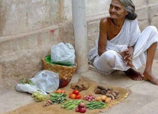 102ആം വയസിലും പച്ചക്കറി വിൽപന; ജീവിതത്തോട് പൊരുതി ലക്ഷ്മിയമ്മ