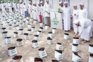 Environment Day_Ma'din students prepare a farm on the terrace of the mosque