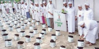 Environment Day_Ma'din students prepare a farm on the terrace of the mosque