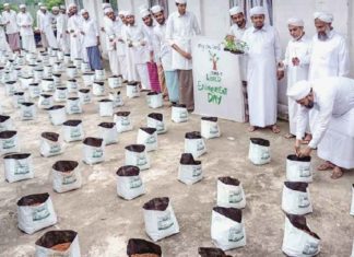Environment Day_Ma'din students prepare a farm on the terrace of the mosque