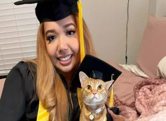 ‘പൂച്ച സർ ഹാജർ’; മുടങ്ങാതെ ഓൺലൈൻ ക്ളാസിൽ, ബിരുദദാന ചടങ്ങിൽ പൂച്ചക്കും അംഗീകാരം