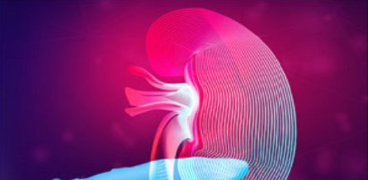 Cosmetics that Damage the Kidneys