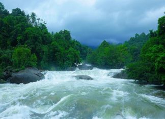 heavy rain in arippara waterfalls warning alert