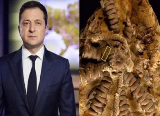 ‘സെലൻസ്കി’; 150 ദശലക്ഷം പഴക്കമുള്ള ഫോസിലിന് പ്രസിഡണ്ടിന്റെ പേര്