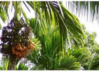 The rain that sows misery; farmers are worried