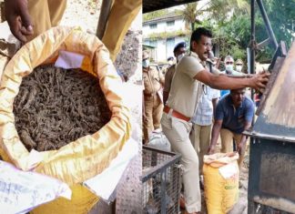 61 Kilogram Cannabis Destroyed By Police At Kottayam